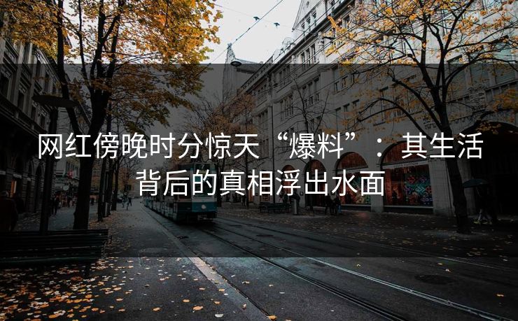 网红傍晚时分惊天“爆料”：其生活背后的真相浮出水面